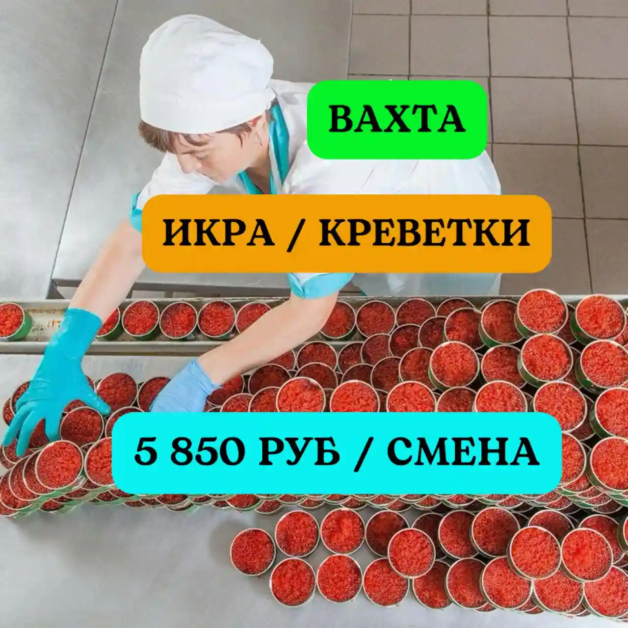 Вакансии вахтой в Краснодарском крае Вахта в Краснодарском крае.  Vahta.click - вакансии вахтой от прямых работодателей